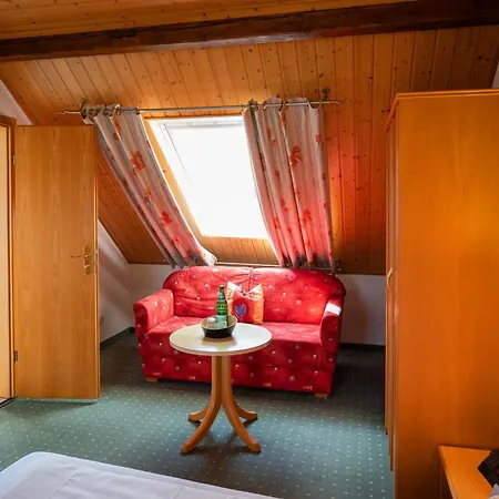 朱姆阿尔滕弗里茨酒店 3*