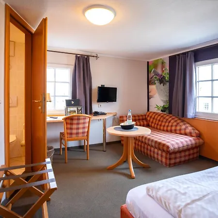 招待所 朱姆阿尔滕弗里茨酒店