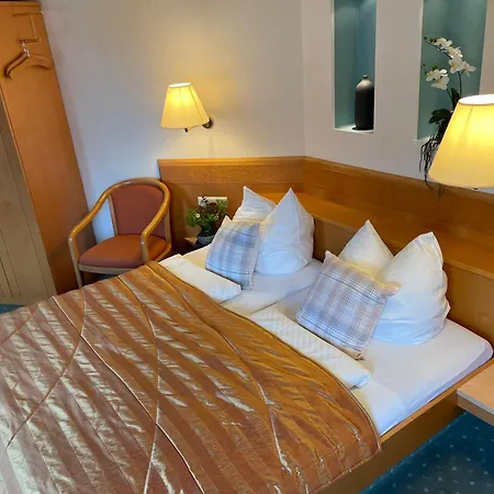 朱姆阿尔滕弗里茨酒店 3*