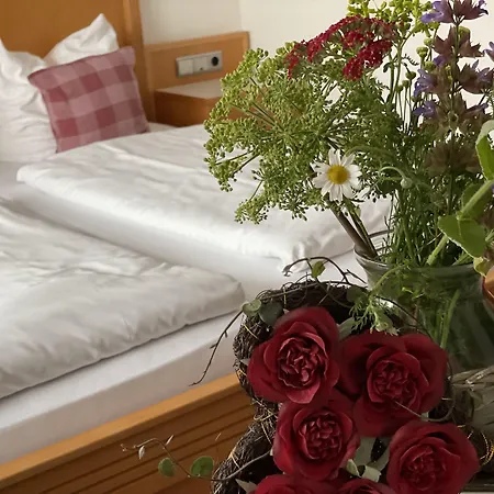 招待所 朱姆阿尔滕弗里茨酒店 阿斯巴赫