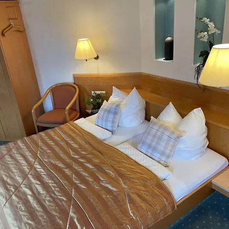 朱姆阿尔滕弗里茨酒店 3*