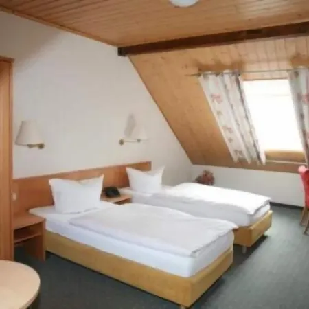 招待所 朱姆阿尔滕弗里茨酒店 3*