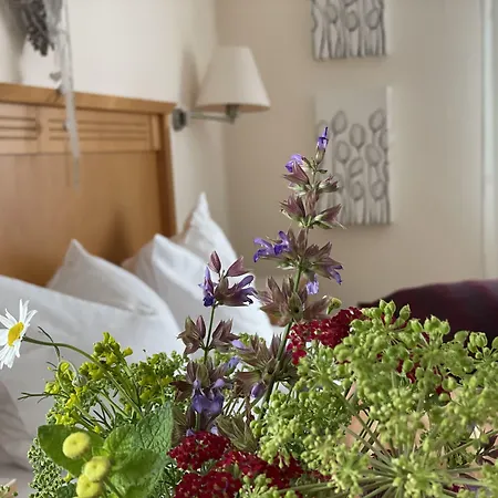 朱姆阿尔滕弗里茨酒店 阿斯巴赫